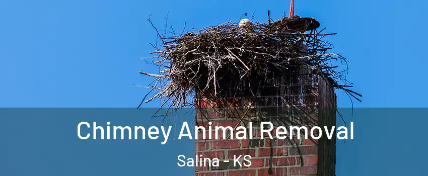 Chimney Animal Removal Salina - KS
