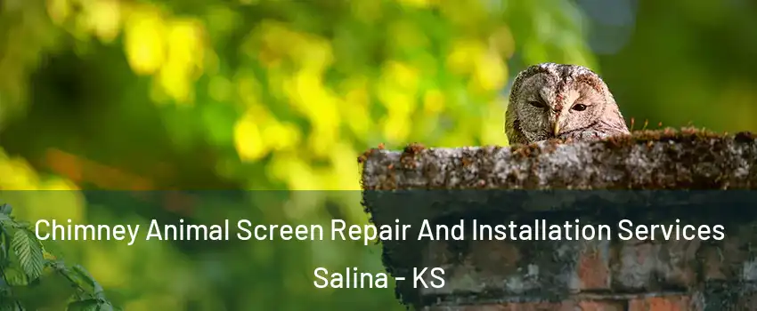  Chimney Animal Screen Repair And Installation Services Salina - KS