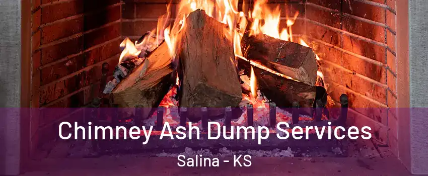  Chimney Ash Dump Services Salina - KS