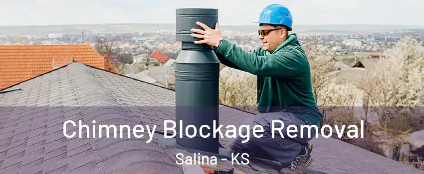  Chimney Blockage Removal Salina - KS
