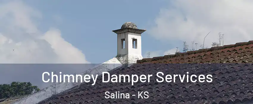  Chimney Damper Services Salina - KS