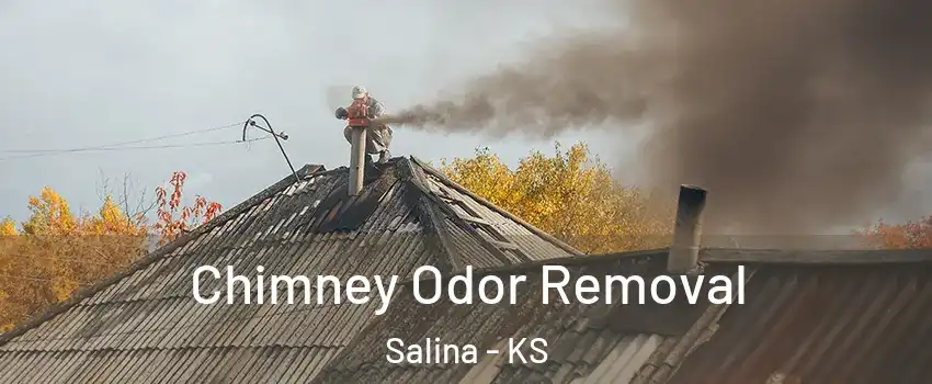  Chimney Odor Removal Salina - KS