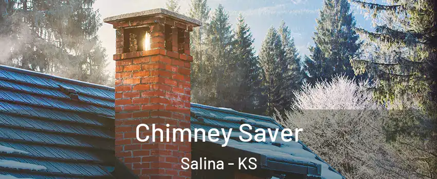  Chimney Saver Salina - KS