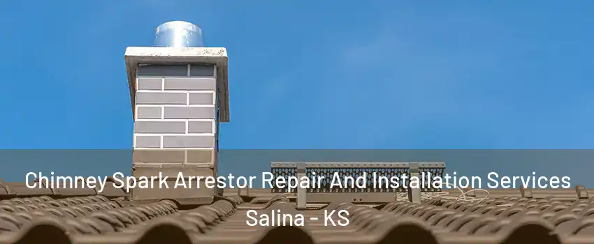  Chimney Spark Arrestor Repair And Installation Services Salina - KS