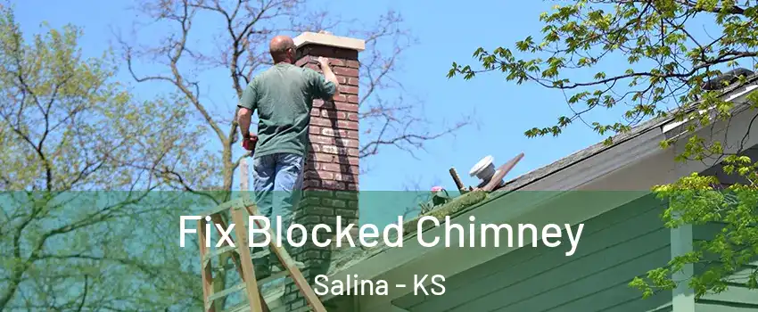  Fix Blocked Chimney Salina - KS
