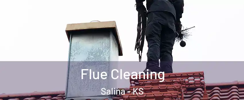  Flue Cleaning Salina - KS