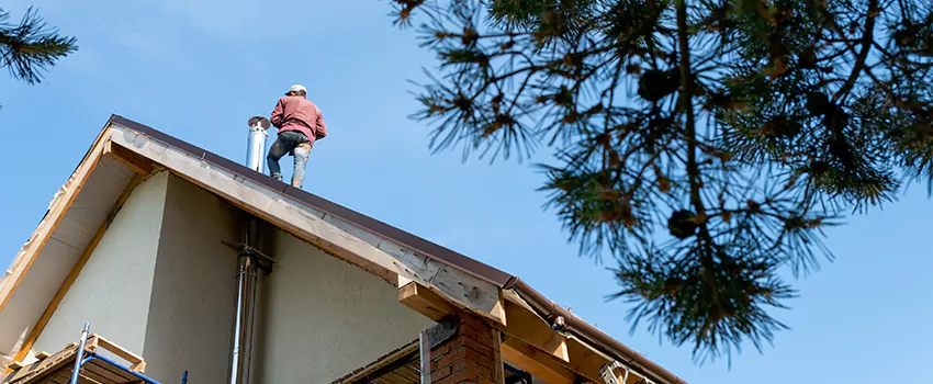 Birds Removal Contractors from Chimney in Salina, KS