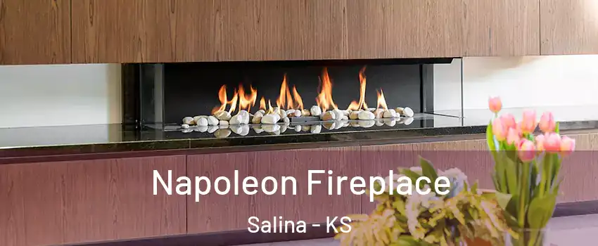  Napoleon Fireplace Salina - KS